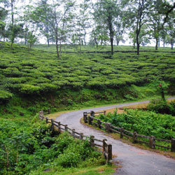 Dooars Tour Packages