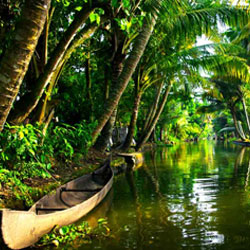 Kerala Tour Packages