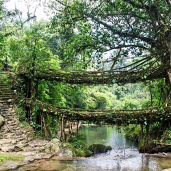 Meghalaya Tour Packages