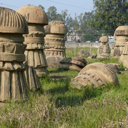 Nagaland Tour Packages