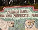 Padmaja Naidu Zoological Park